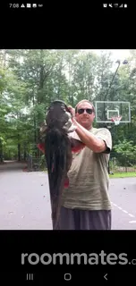 Roommate looking Myrtle Beach, SC, $700