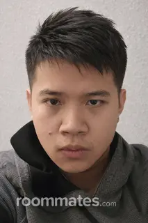 Roommate looking Austin, TX, $1000