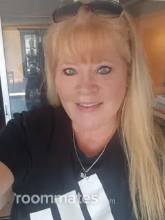 Roommate looking Holiday, FL, $1000