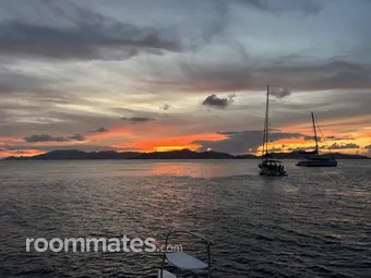 Roommate looking Cary, NC, $1000