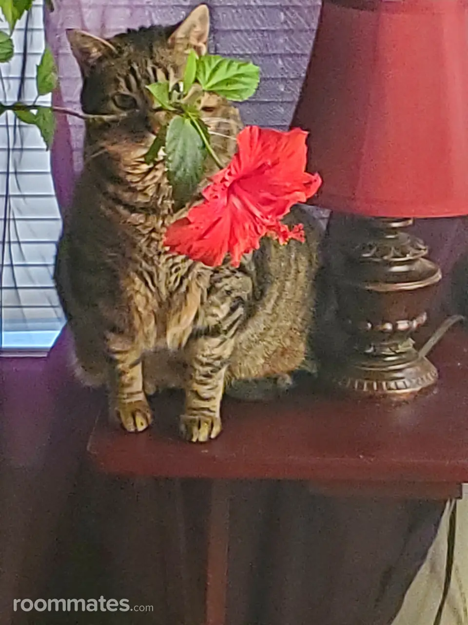 Profile photo 1 of 1