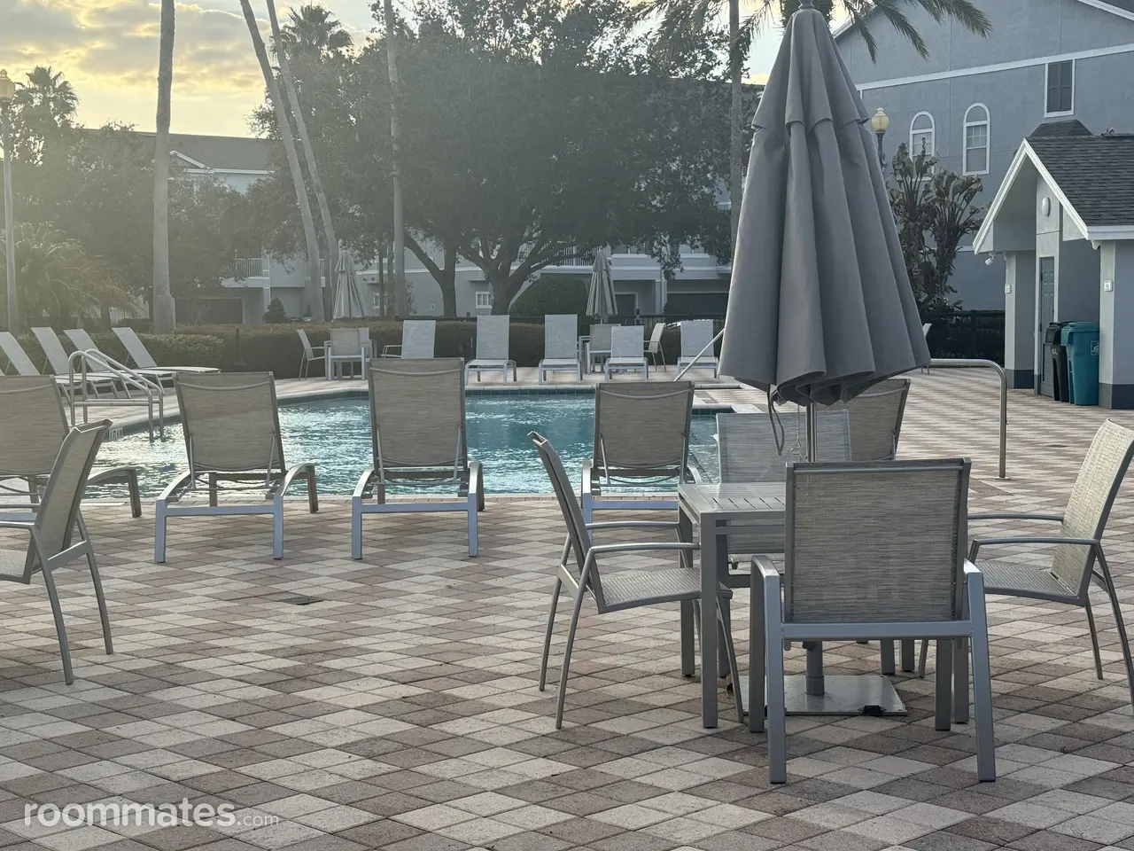 Profile photo 8 of 11