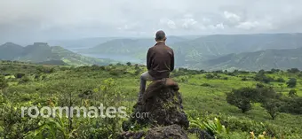 Roommate looking Houston, TX, $1500