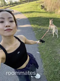 Roommate looking Winter Park, FL, $1200