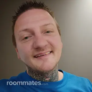 Roommate looking Forest, VA, $700