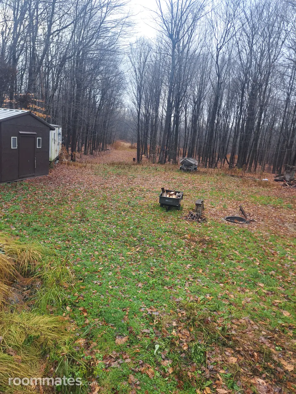 Profile photo 3 of 4