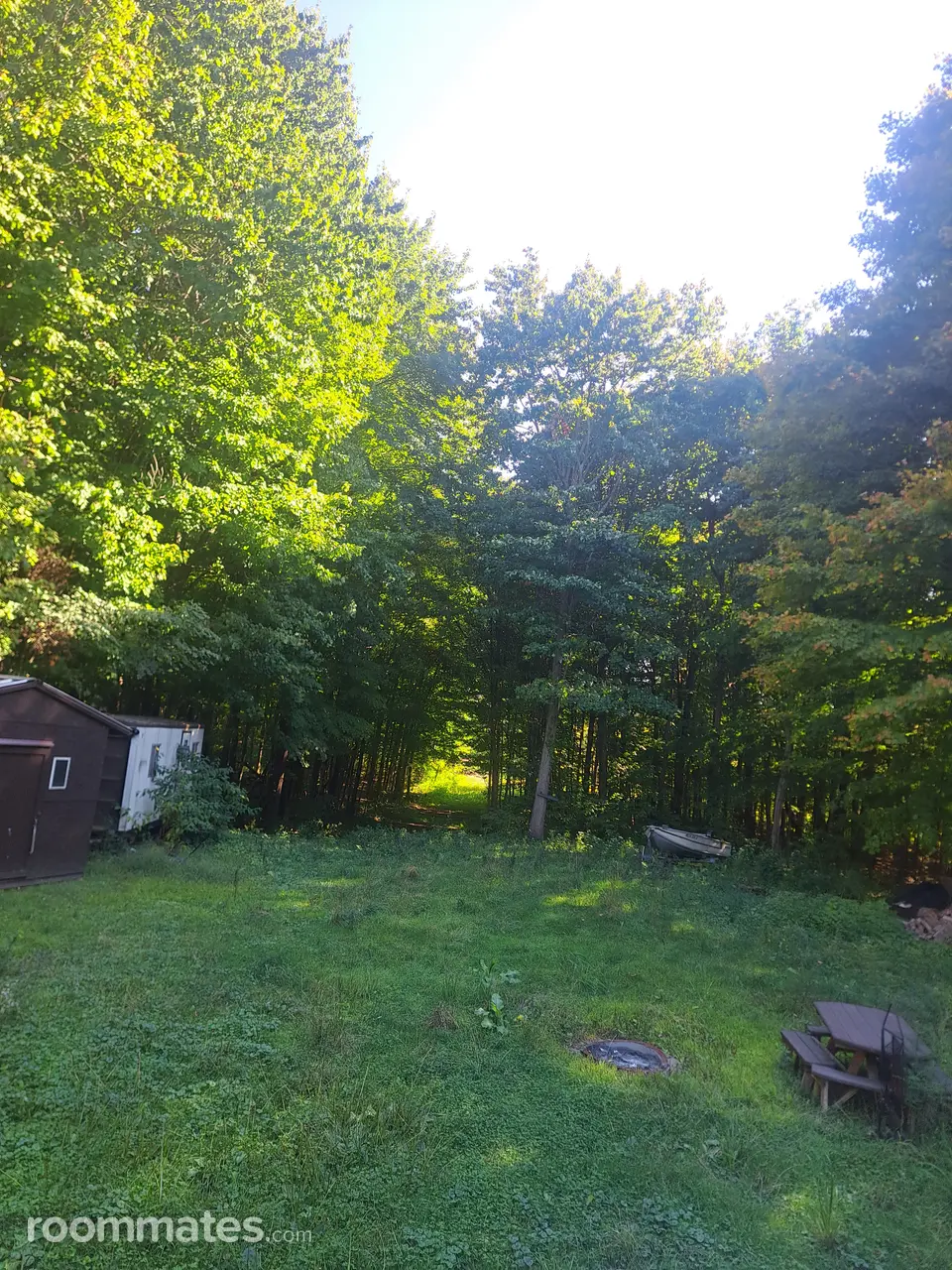 Profile photo 2 of 4