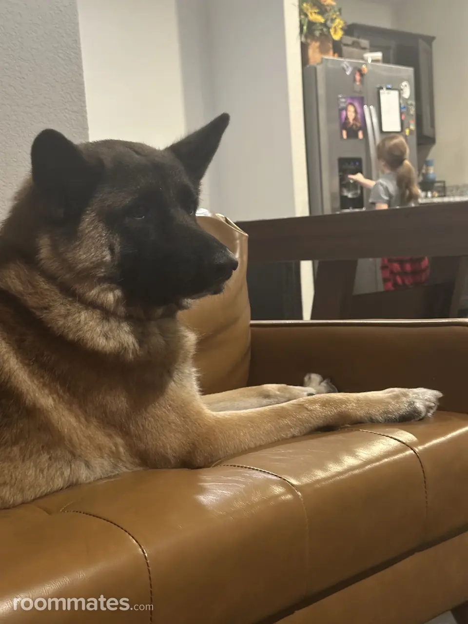 Profile photo 5 of 7