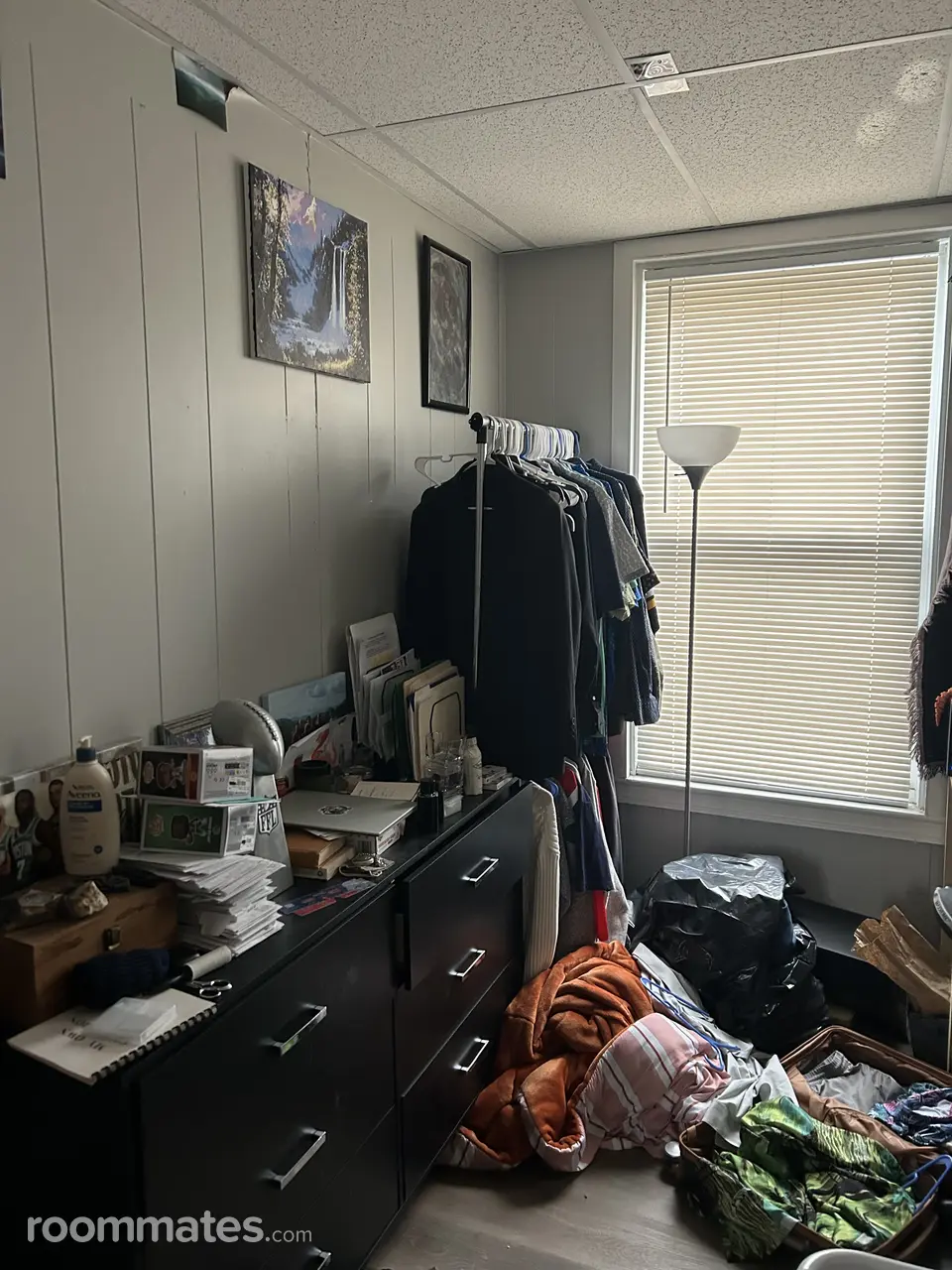 Profile photo 2 of 10