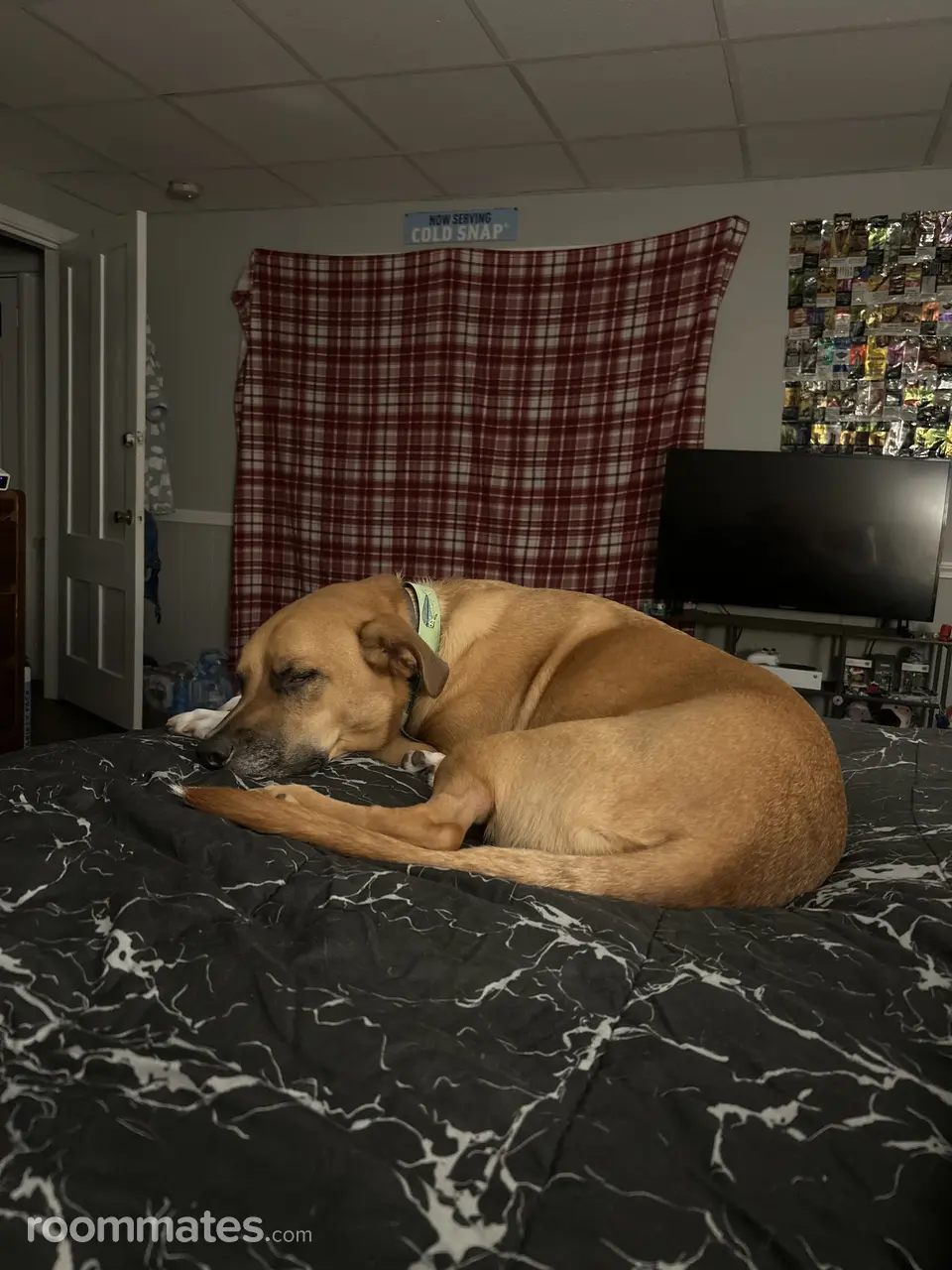 Profile photo 9 of 10