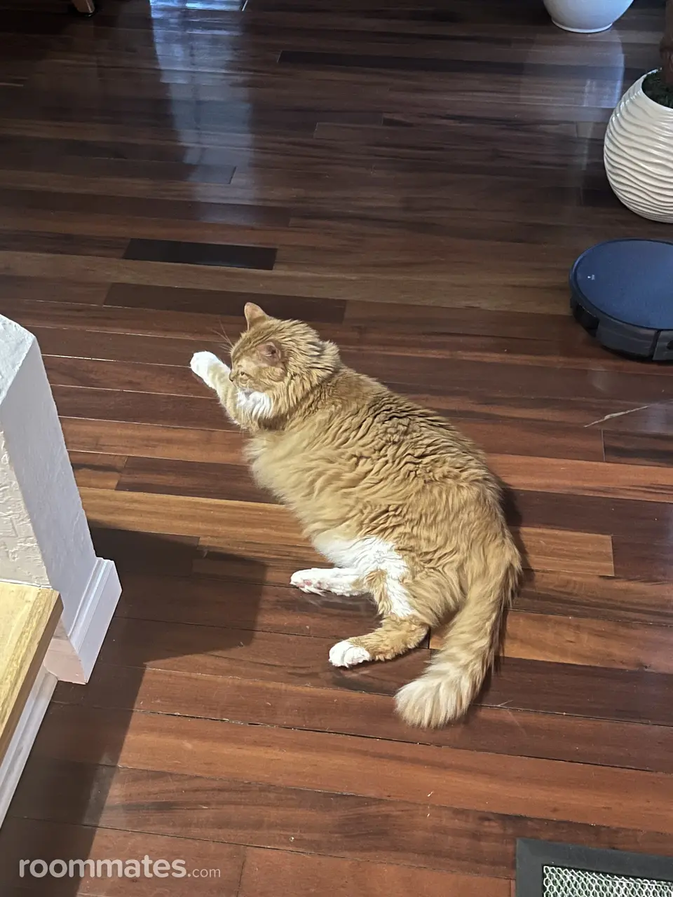 Profile photo 1 of 1