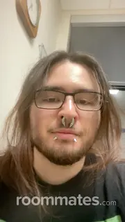 Roommate looking Norton, MA, $1000