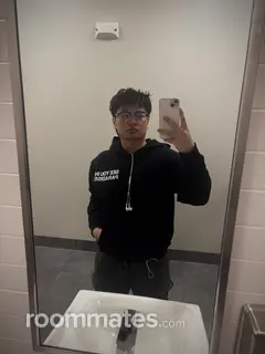 Roommate looking Buffalo, NY, $700