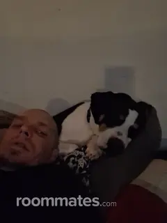 Roommate looking Warren, OH, $200