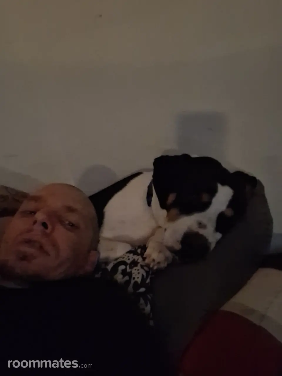 Profile photo 1 of 1