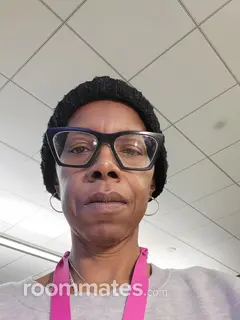 Roommate looking Boston, MA, $1000