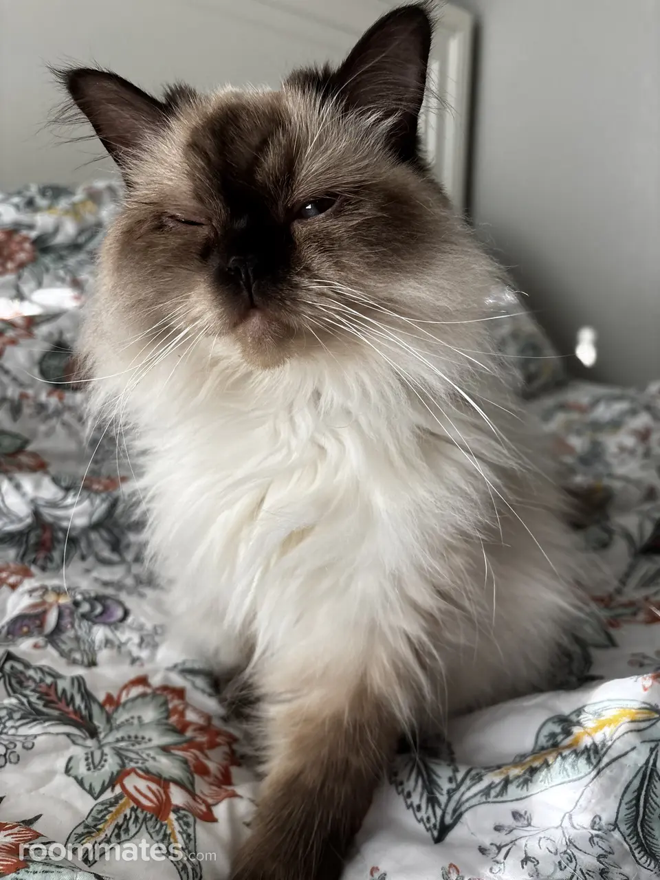 Profile photo 5 of 7