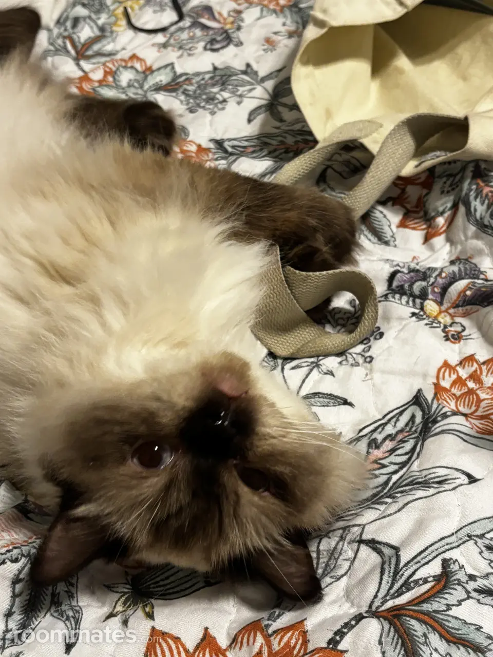 Profile photo 4 of 7