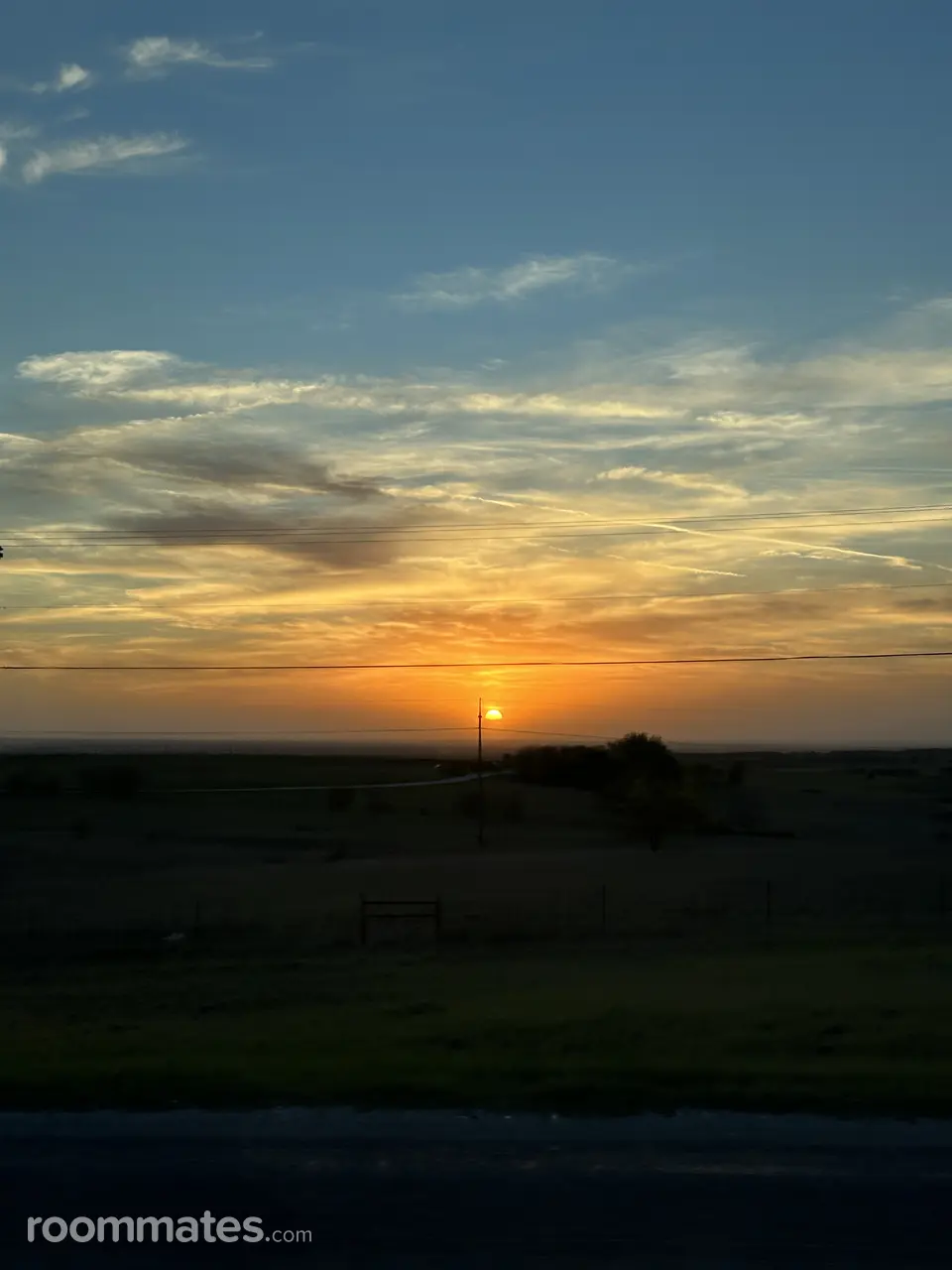 Profile photo 1 of 2