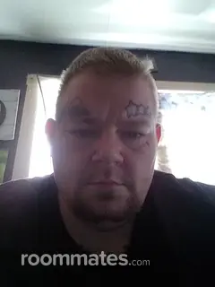 Roommate looking Springfield, MO, $500