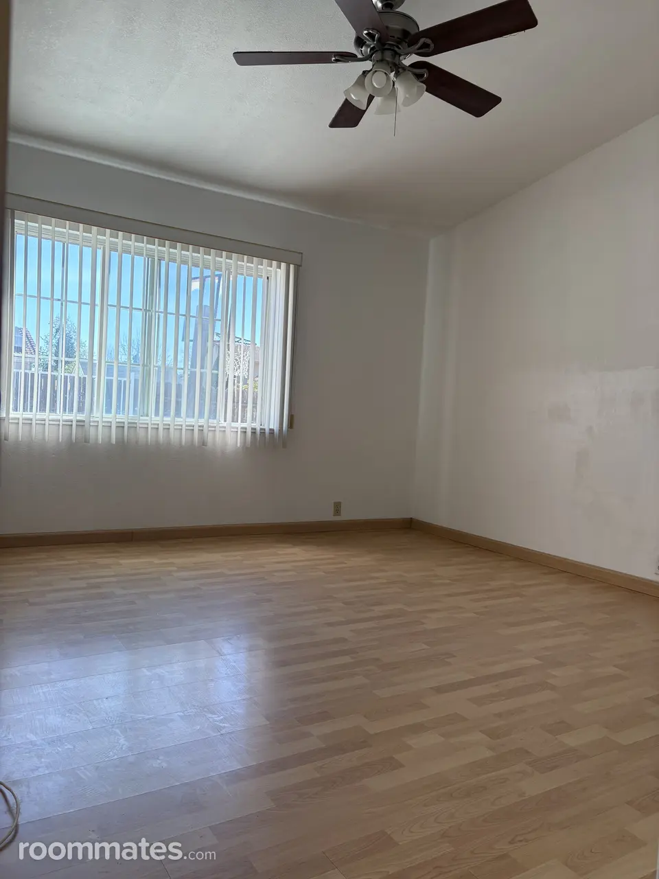 Profile photo 6 of 11