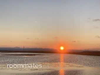 Room for rent in Hayward, CA $1200, house