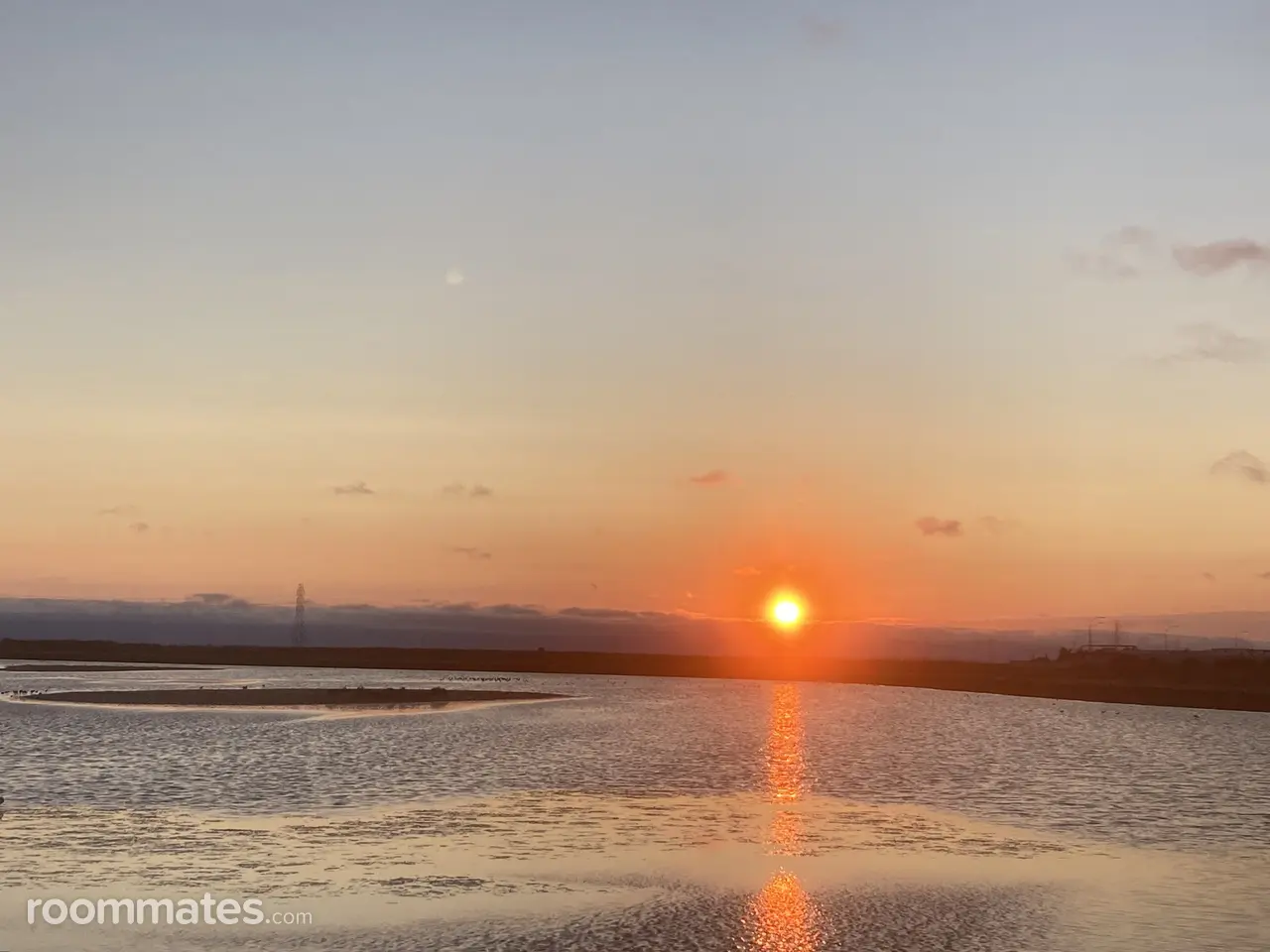 Profile photo 11 of 11