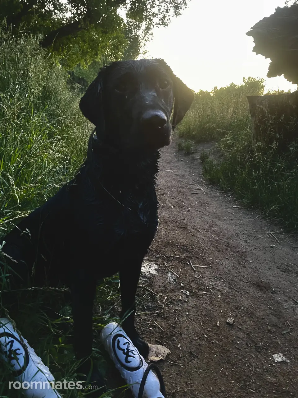 Profile photo 6 of 6