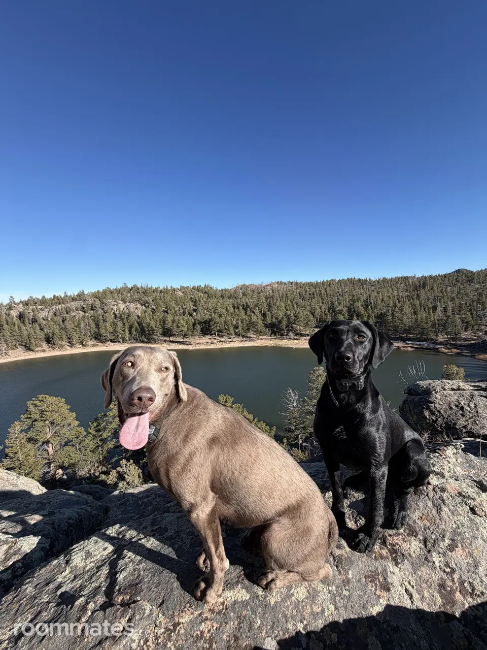 Profile photo 4 of 6