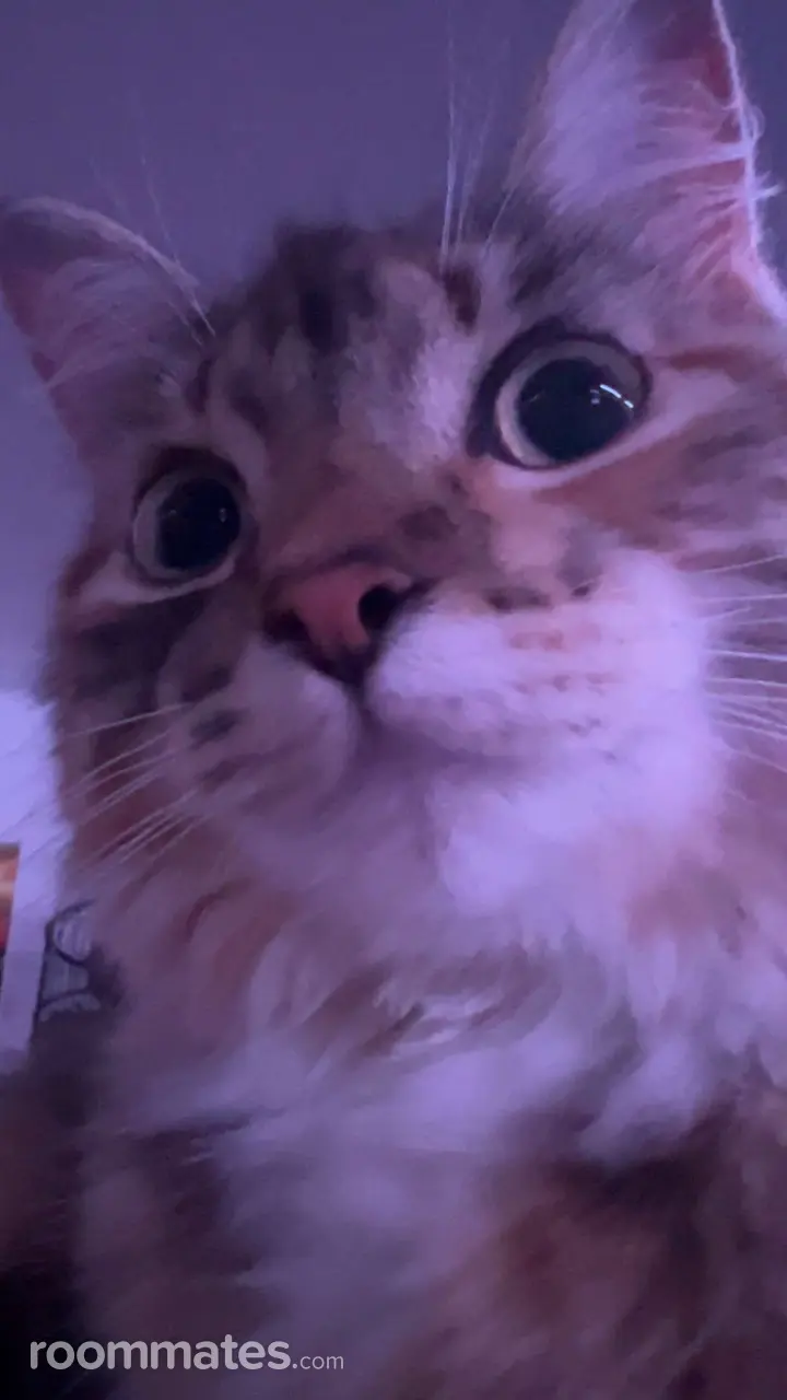 Profile photo 1 of 1