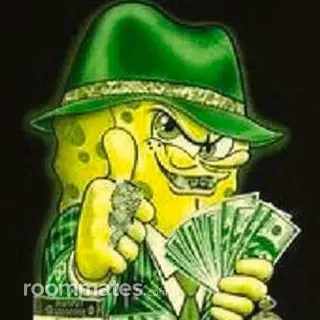 Roommate looking Troy, NY, $700