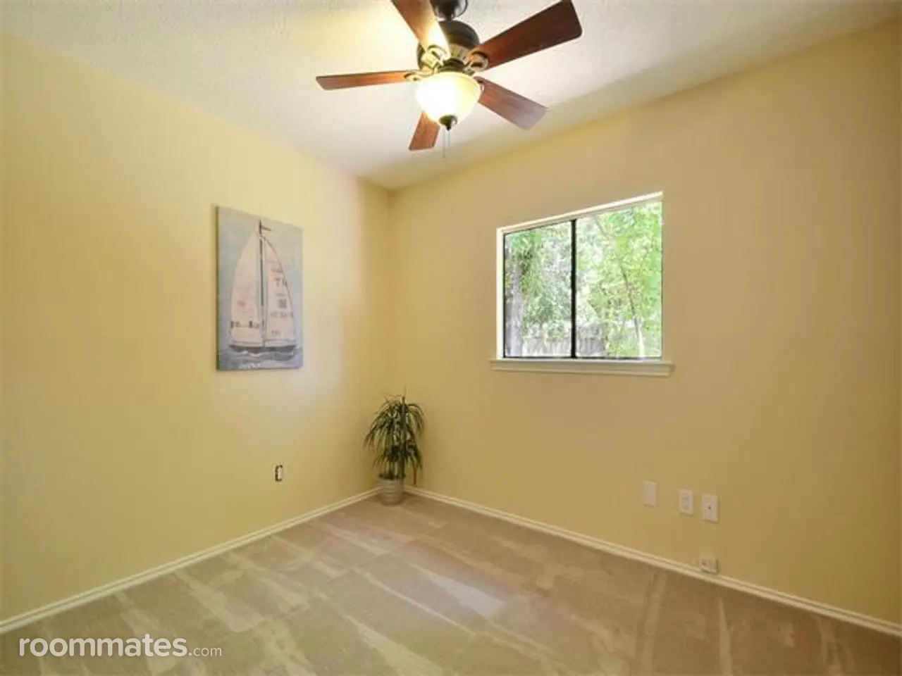 Profile photo 1 of 6