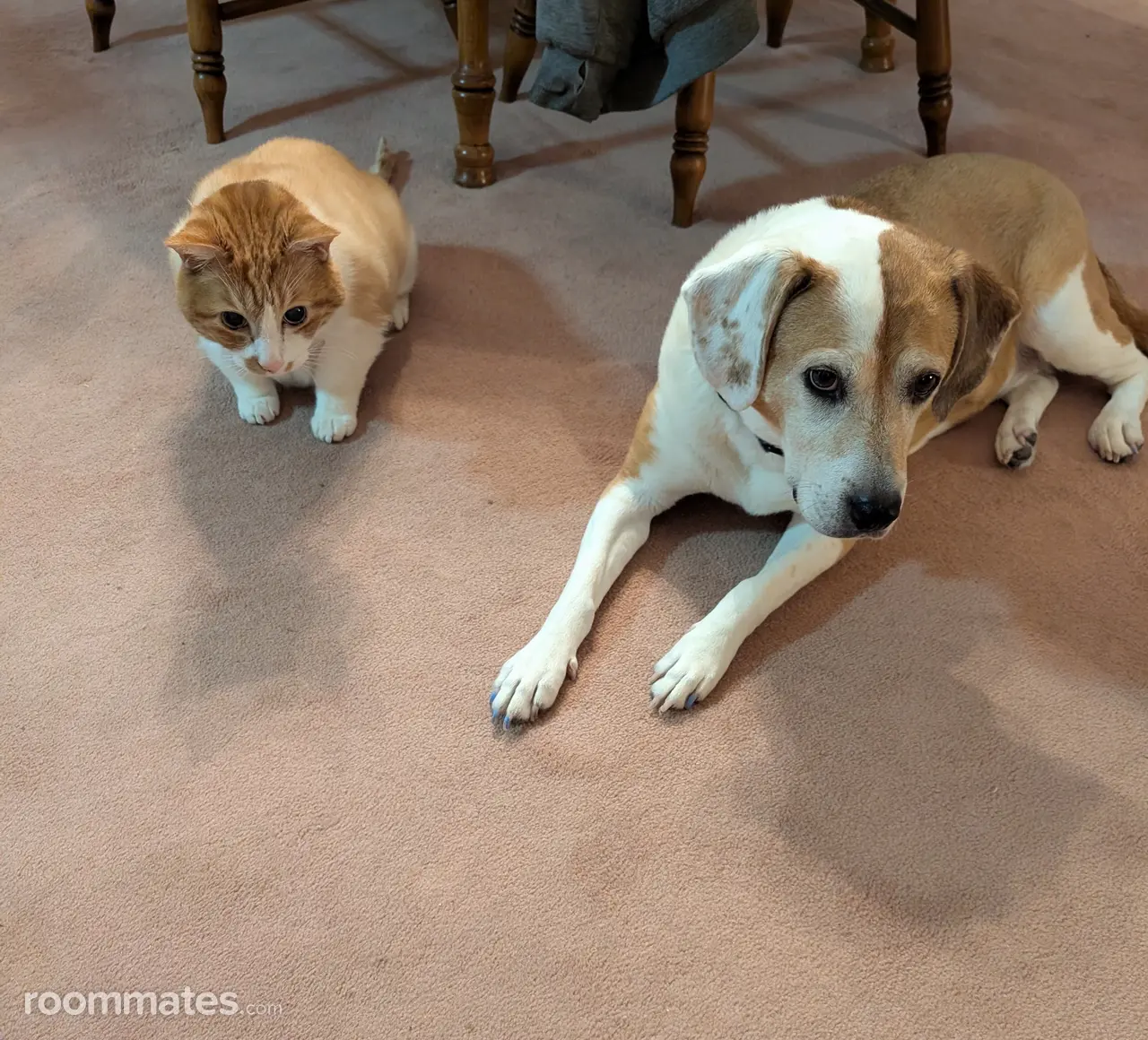 Profile photo 2 of 2