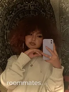 Roommate looking Albuquerque, NM, $700