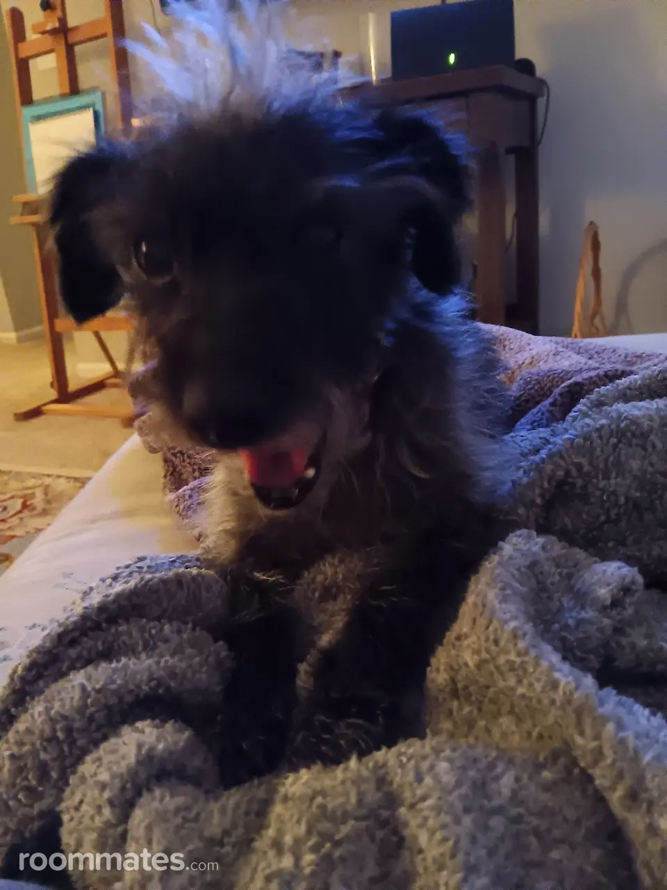 Profile photo 2 of 2