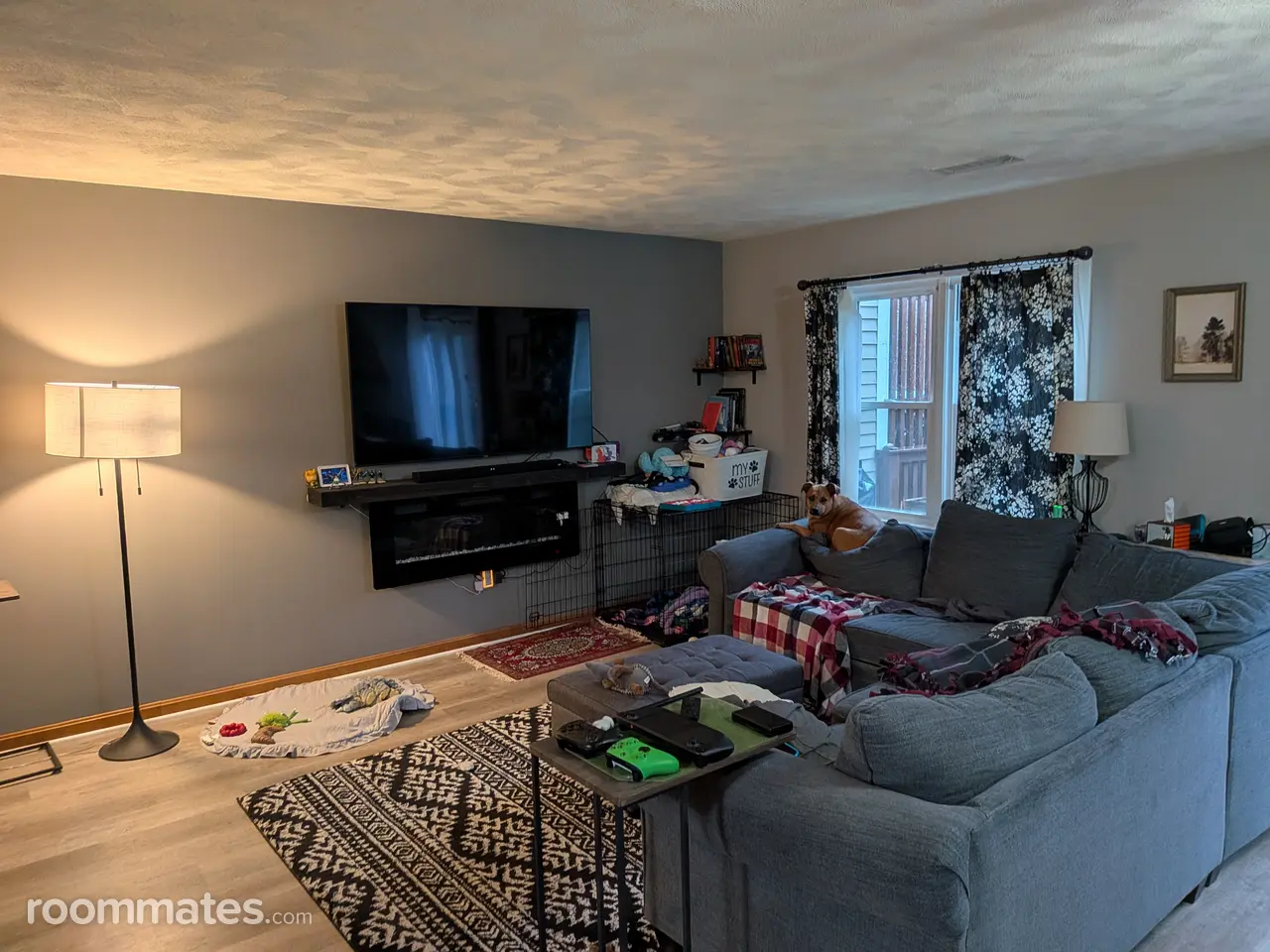 Profile photo 6 of 9