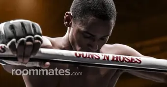 Roommate looking Fairview Heights, IL, $2000