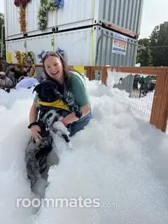 Roommate looking Brookline, MA, $1400