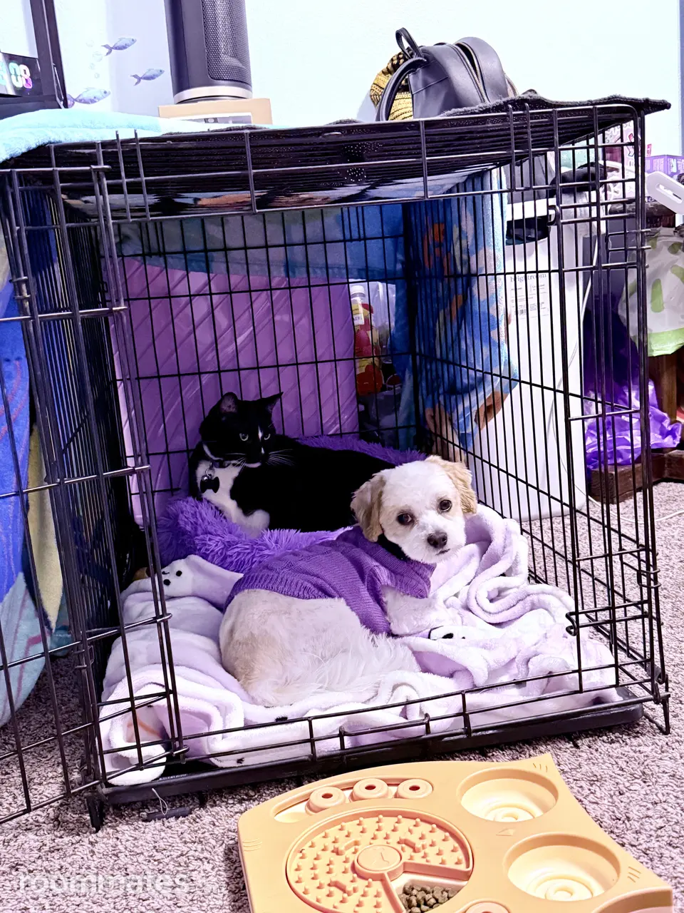 Profile photo 2 of 3