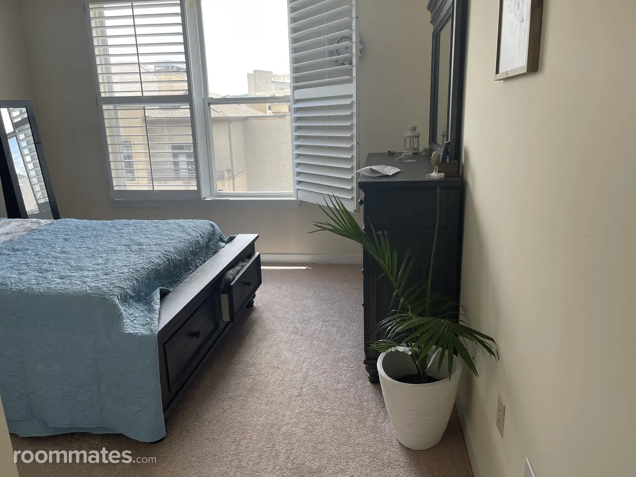 Profile photo 9 of 11