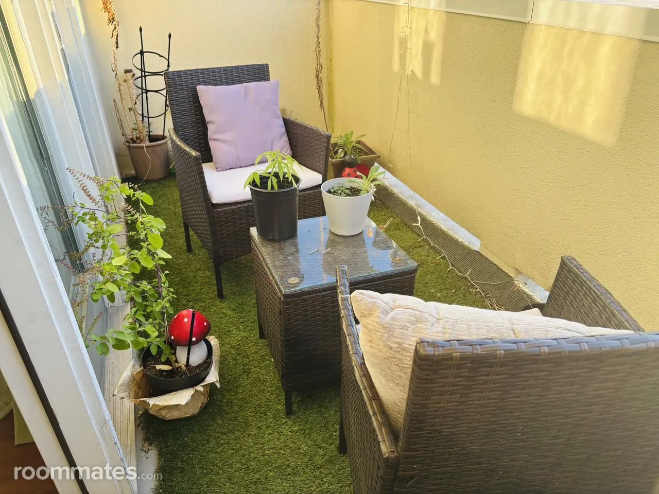 Profile photo 3 of 11