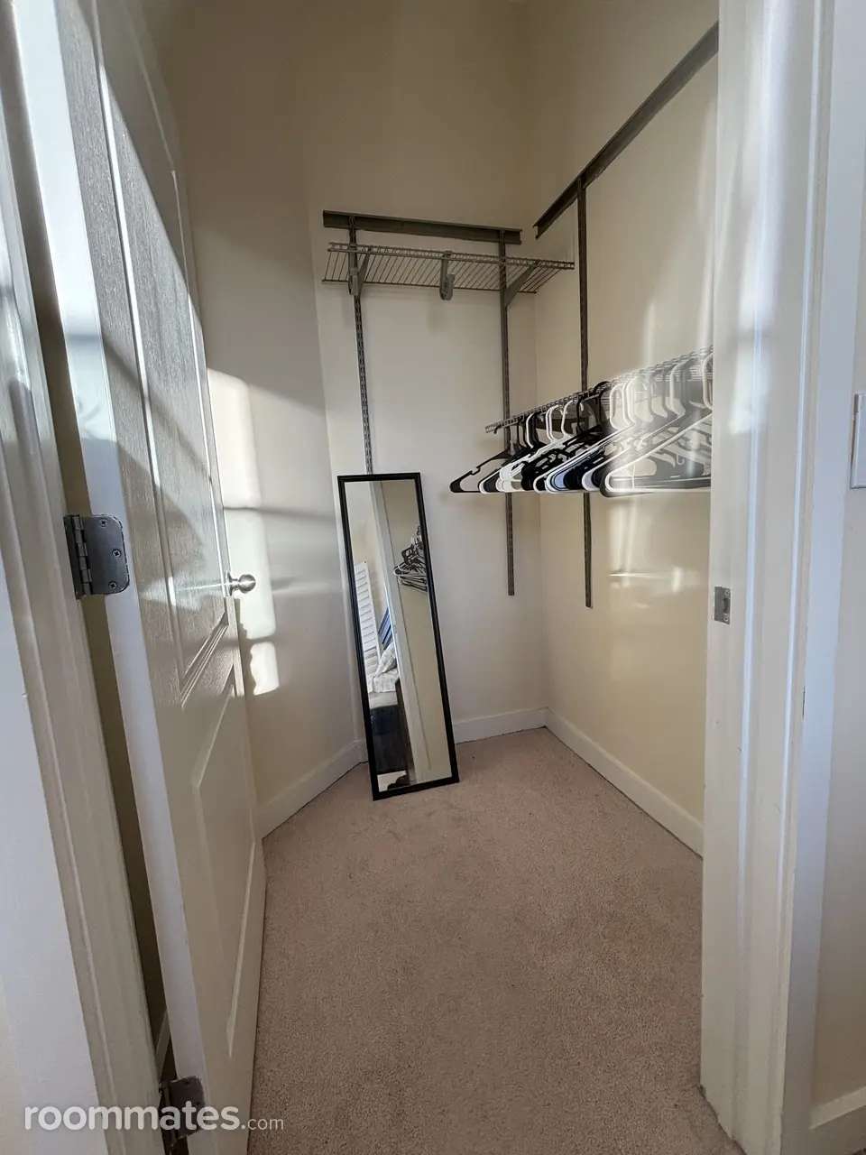 Profile photo 4 of 11