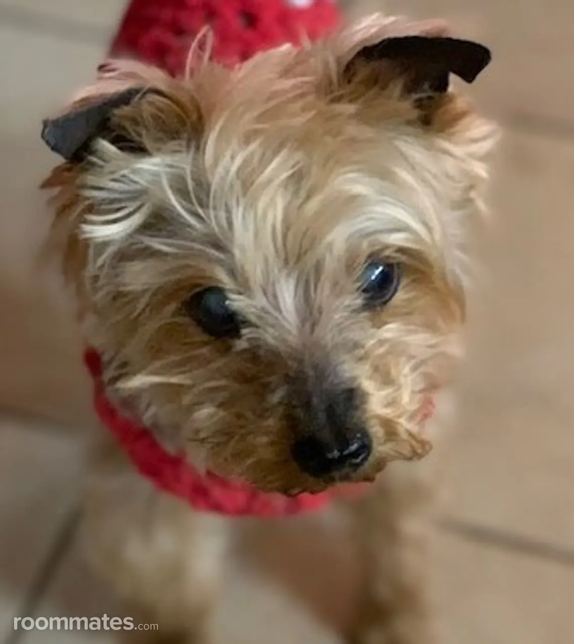 Profile photo 10 of 10