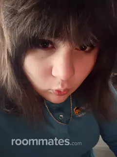 Roommate looking Brandon, FL, $1000