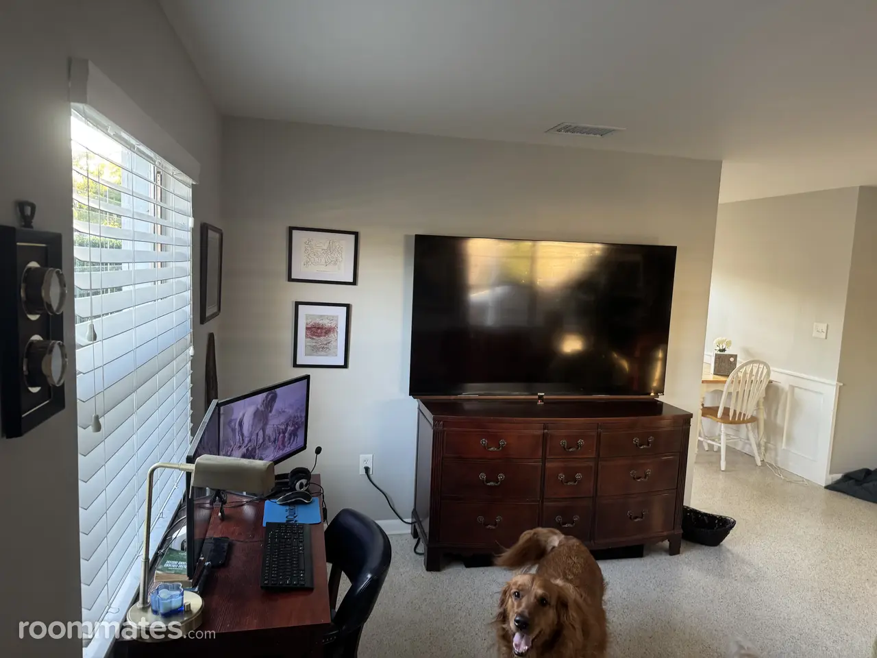 Profile photo 7 of 9