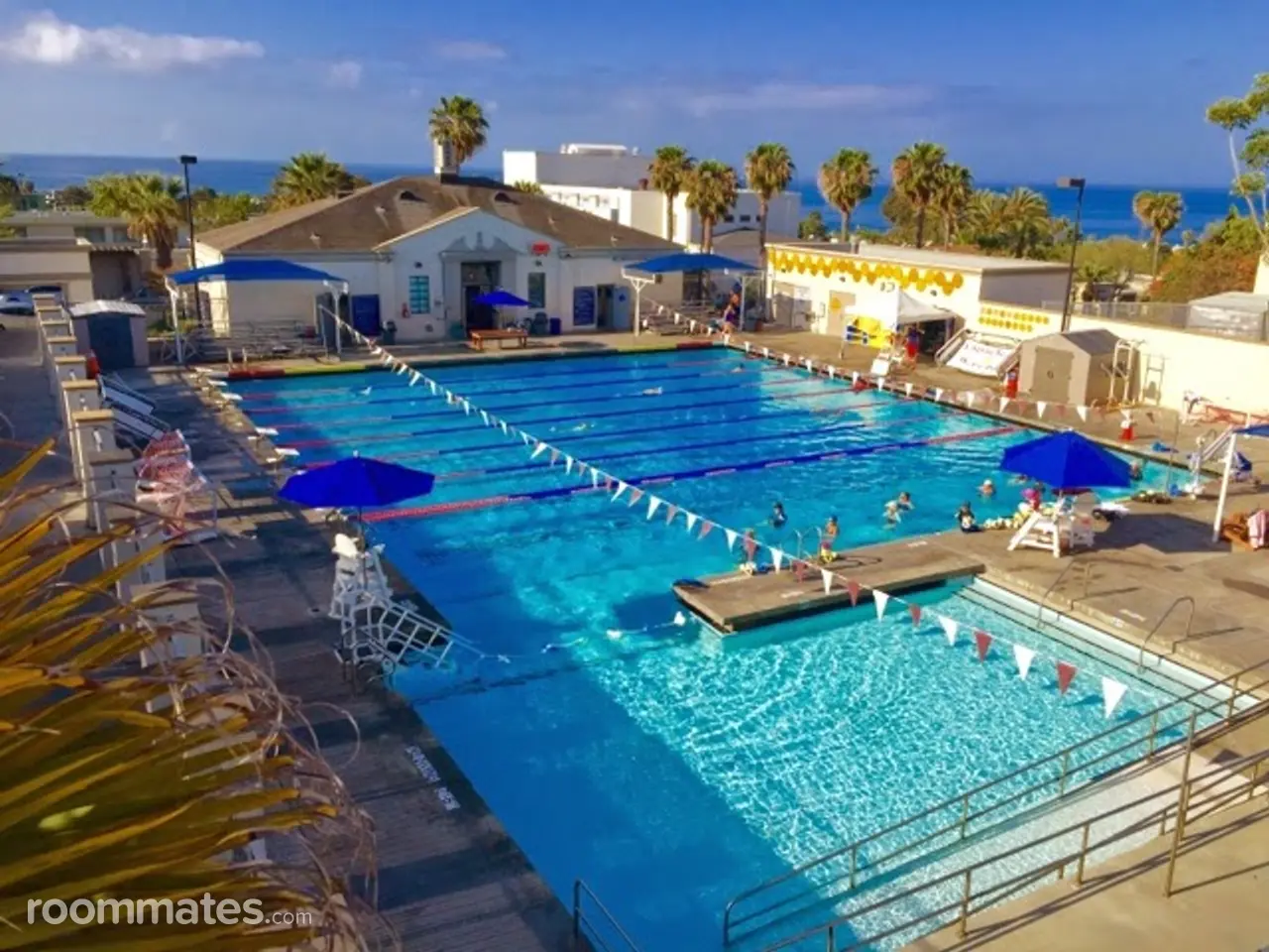 Profile photo 8 of 11