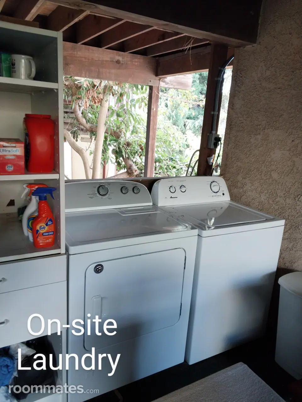 Profile photo 10 of 11