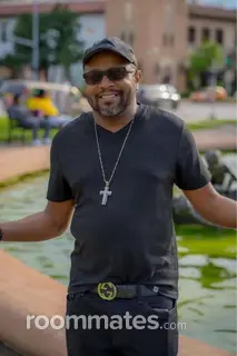 Roommate looking Chicago IL, $1200