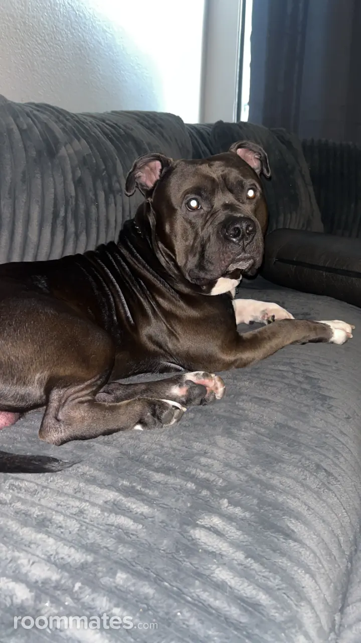 Profile photo 3 of 4