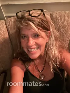 Roommate looking Bristol, TN, $600